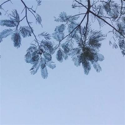 帝国战役手游下载