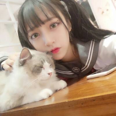 武当剑无限元宝版下载